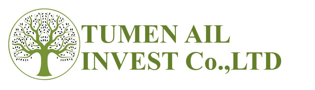 Tumen Ail Invest Co ltd
